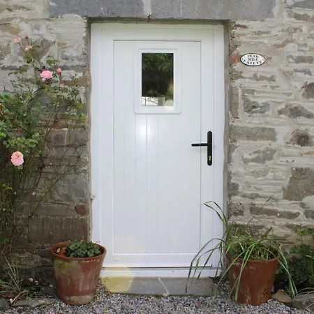 Rose * Duleek